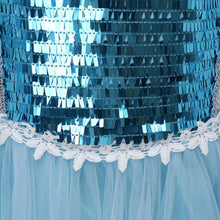 Load image into Gallery viewer, Kids Frozen Costume Princess Elsa Cosplay Birthday or Party Sequin Dress With Accessories