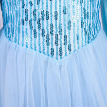 Load image into Gallery viewer, Kids Frozen Costume Princess Elsa Cosplay Birthday or Party Dress With Accessories