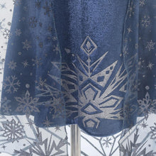 Load image into Gallery viewer, Kids Frozen Costume Princess Elsa Anna Cosplay Birthday or Party Dress With Accessories