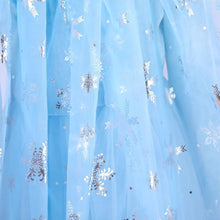 Load image into Gallery viewer, Kids Frozen Costume Princess Elsa Cosplay Birthday or Party Dress With Accessories