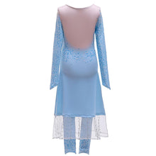 Load image into Gallery viewer, Kids Frozen Costume Princess Elsa Cosplay Birthday or Party Dress With Accessories